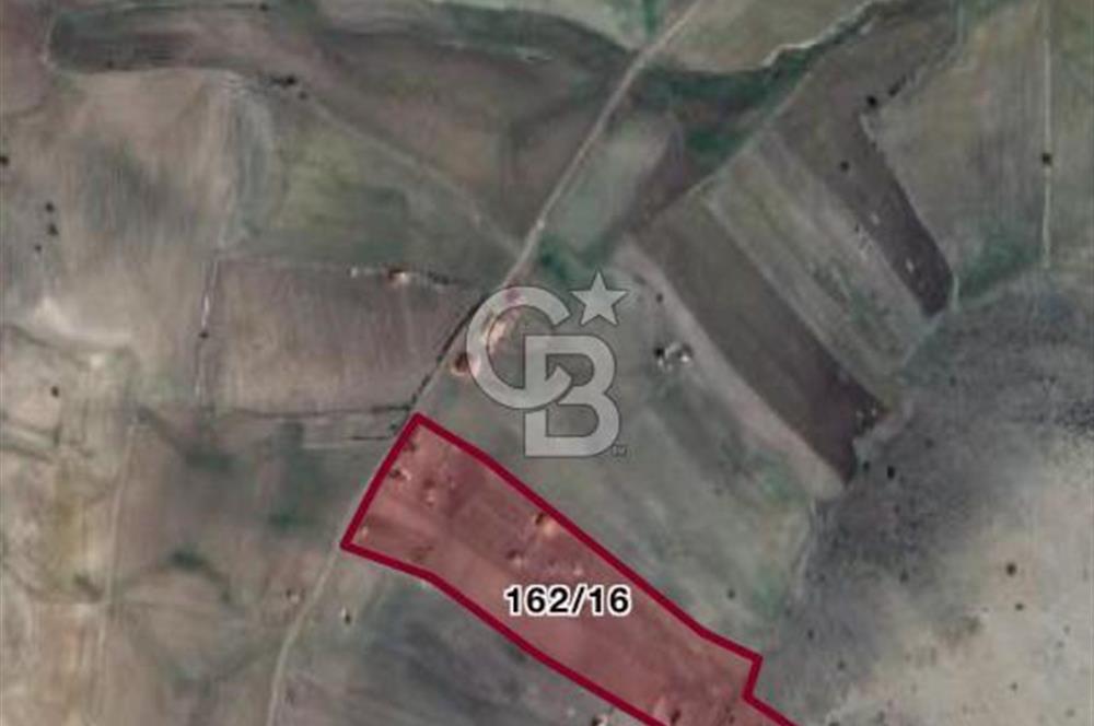 ÇANKAYA TOHUMLARDA 600 M2 BAHÇE YAPIMINA UYGUN TARLA 