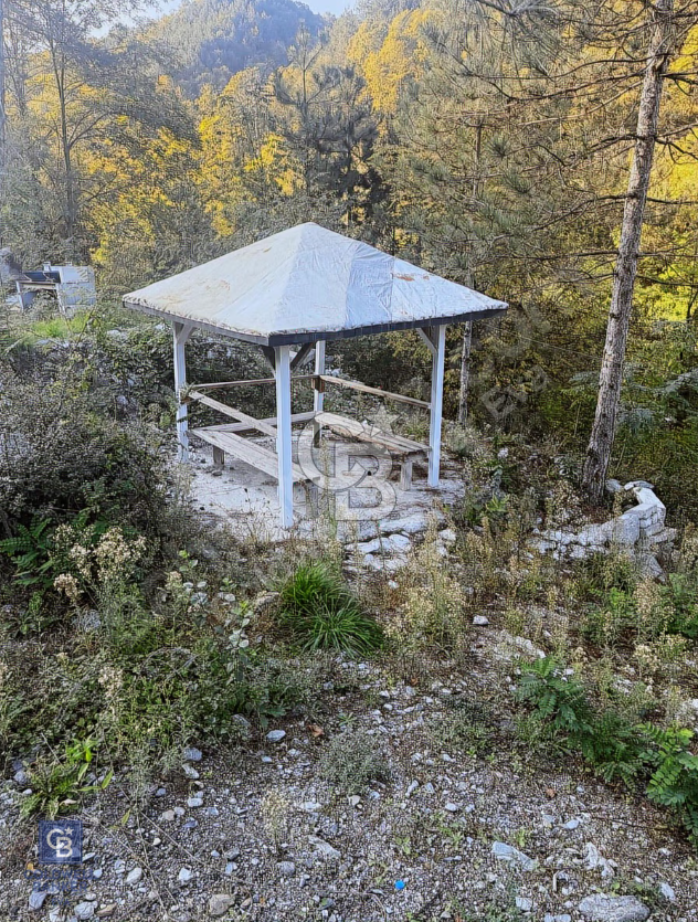 SAPANCA'DA DERE KENARINDA YATIRIMA UYGUN FIRSAT !