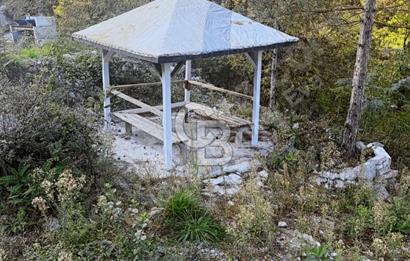 SAPANCA'DA DERE KENARINDA YATIRIMA UYGUN FIRSAT !
