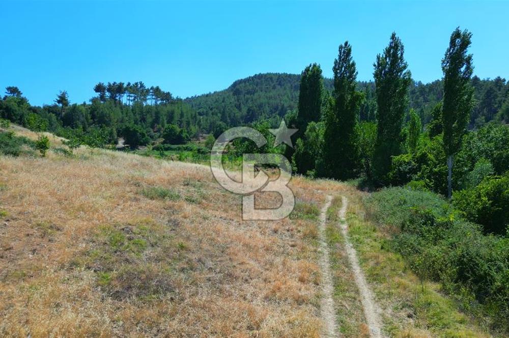 Muğla Günlüce 2332 m2 Satılık Tarla 