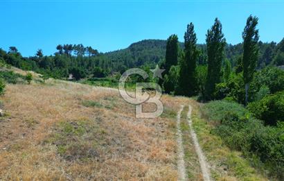 Muğla Günlüce 2332 m2 Satılık Tarla 