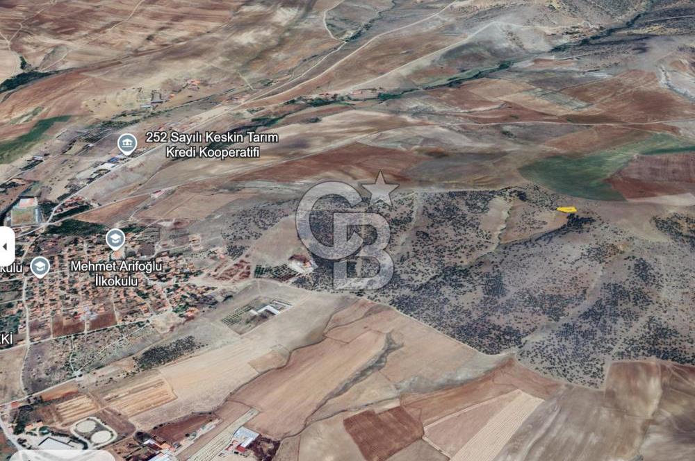 GÜNDOĞDU MAHALLESİ'NİN EN KIYMETLİ PARSELİ /SOSYAL ALAN BİTİŞİĞİ