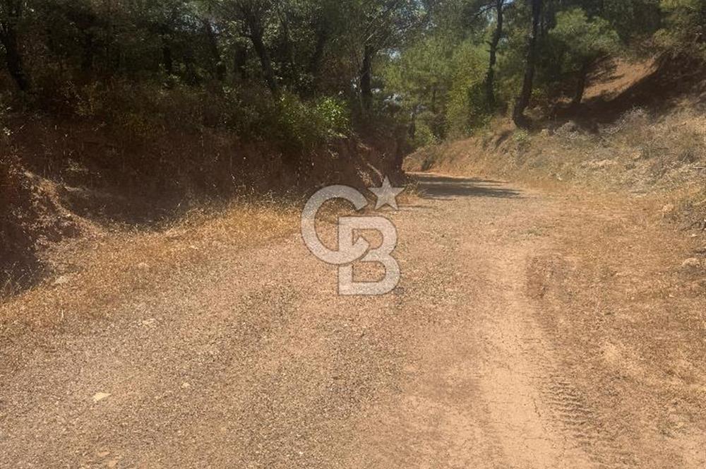 ÇANAKKALE AYVACIK'TA SATILIK MÜKEMMEL ARAZİ