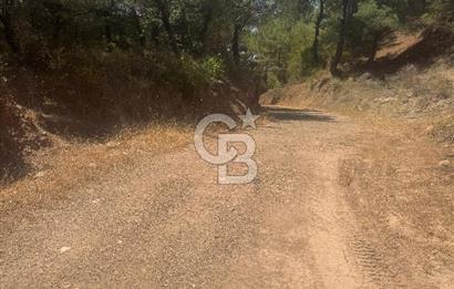 ÇANAKKALE AYVACIK'TA SATILIK MÜKEMMEL ARAZİ