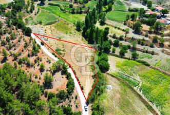 Muğla Günlüce 2332 m2 Satılık Tarla  - 1 - 310010