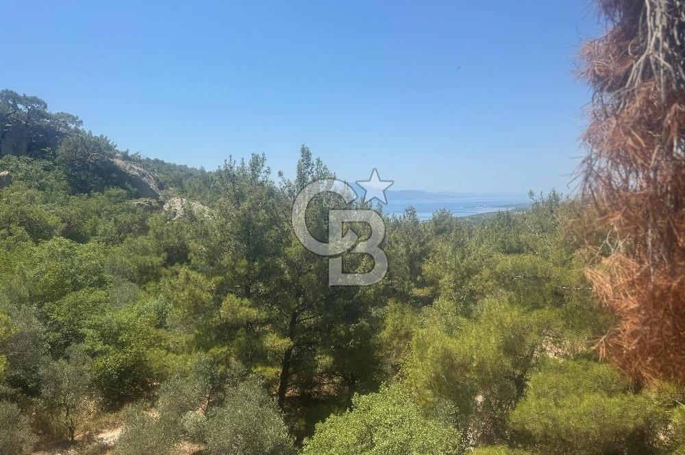 ÇANAKKALE AYVACIK'TA SATILIK MÜKEMMEL ARAZİ