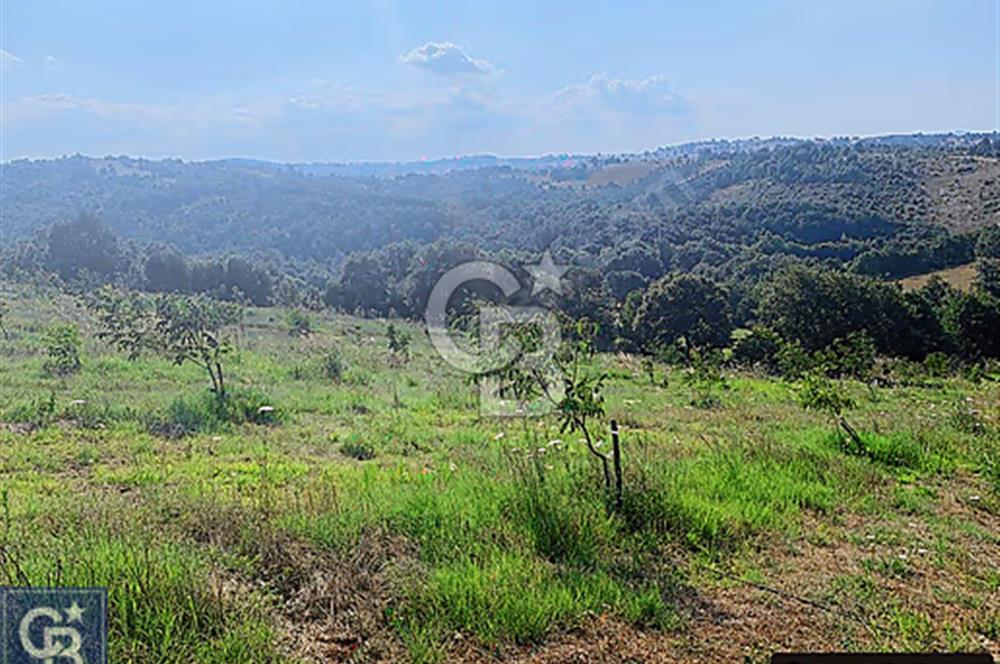 ÇANAKKALE/ÇAN/BOSTANDERE'DE 14.125M²SÜPER CEVİZ BAHÇESİ...