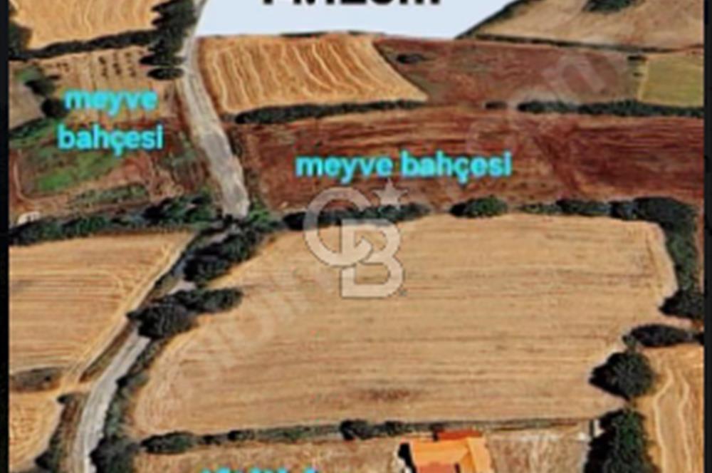 ÇANAKKALE/ÇAN/BOSTANDERE'DE 14.125M²SÜPER CEVİZ BAHÇESİ...