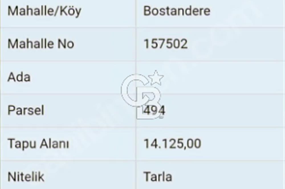 ÇANAKKALE/ÇAN/BOSTANDERE'DE 14.125M²SÜPER CEVİZ BAHÇESİ...