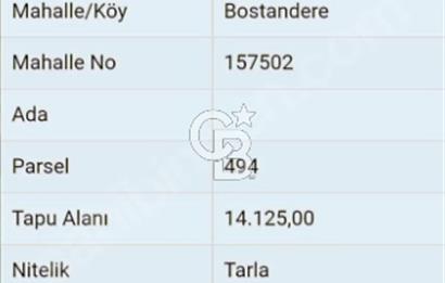 ÇANAKKALE/ÇAN/BOSTANDERE'DE 14.125M²SÜPER CEVİZ BAHÇESİ...