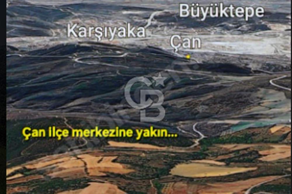 ÇANAKKALE/ÇAN/BOSTANDERE'DE 14.125M²SÜPER CEVİZ BAHÇESİ...