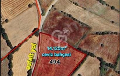 ÇANAKKALE/ÇAN/BOSTANDERE'DE 14.125M²SÜPER CEVİZ BAHÇESİ...
