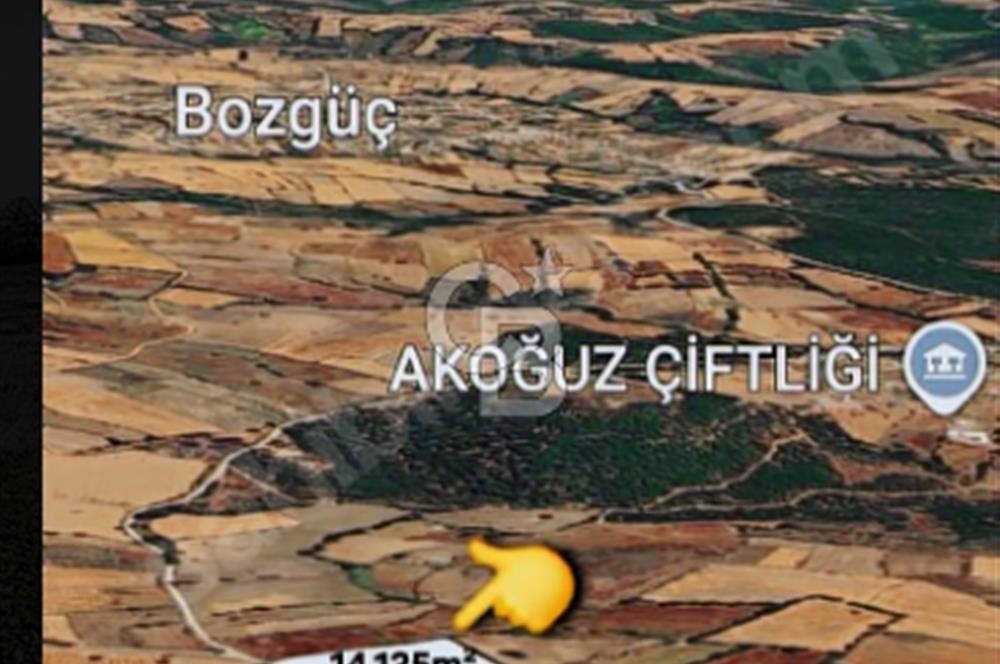 ÇANAKKALE/ÇAN/BOSTANDERE'DE 14.125M²SÜPER CEVİZ BAHÇESİ...