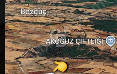 ÇANAKKALE/ÇAN/BOSTANDERE'DE 14.125M²SÜPER CEVİZ BAHÇESİ...