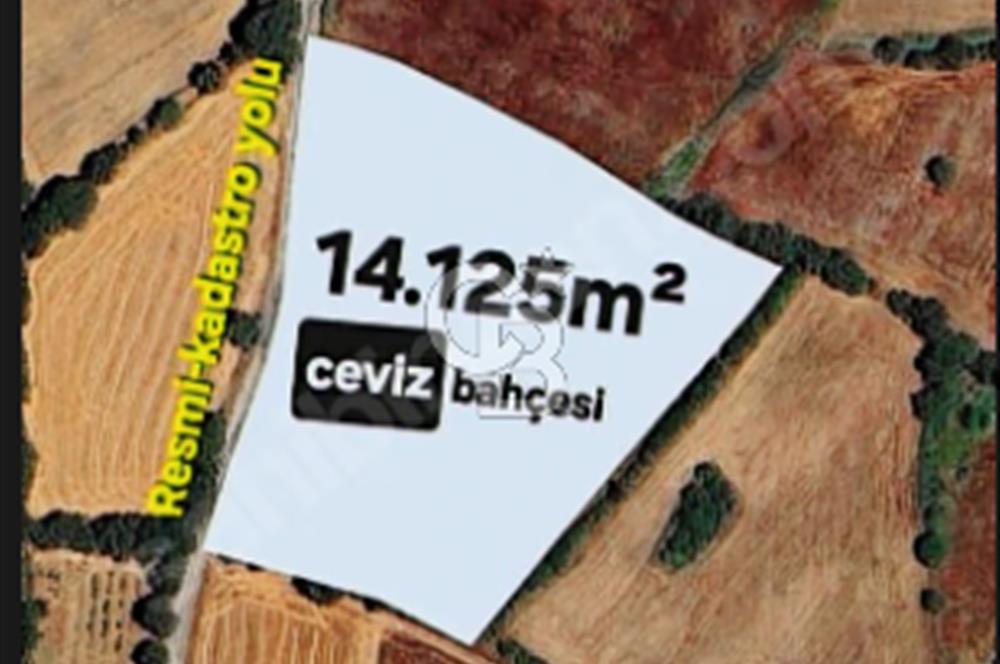ÇANAKKALE/ÇAN/BOSTANDERE'DE 14.125M²SÜPER CEVİZ BAHÇESİ...