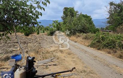 KAZDAĞLARI'NIN İNCİSİ YENİCE/AKÇAKOYUN'DA ÇAYIN DİBİNDE 4,5DÖNÜ