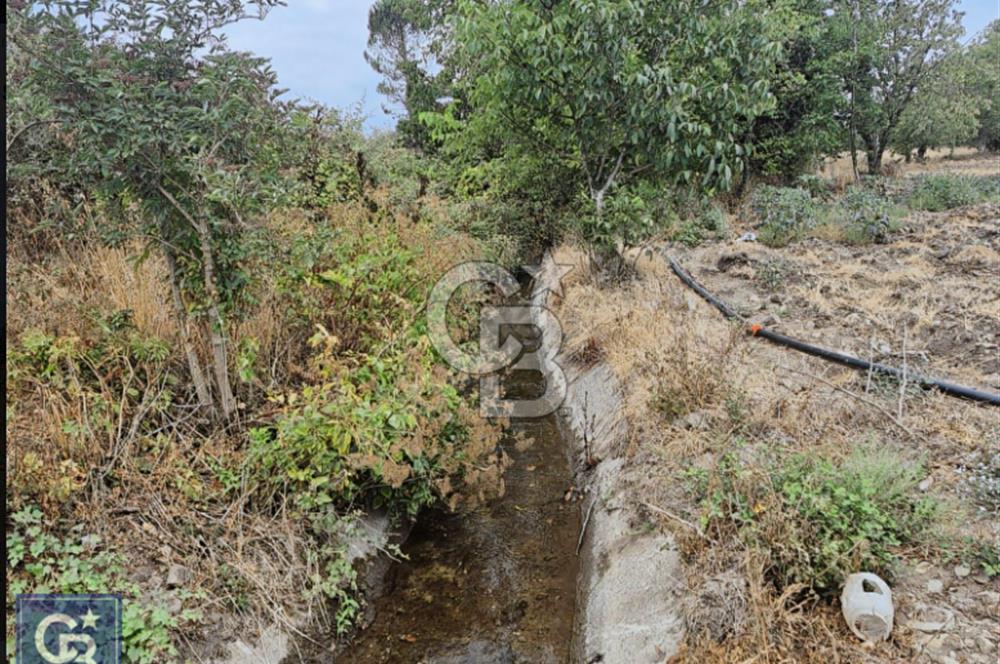 KAZDAĞLARI'NIN İNCİSİ YENİCE/AKÇAKOYUN'DA ÇAYIN DİBİNDE 4,5DÖNÜ