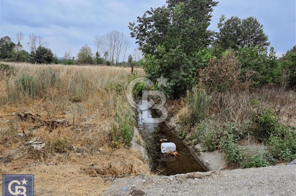 KAZDAĞLARI'NIN İNCİSİ YENİCE/AKÇAKOYUN'DA ÇAYIN DİBİNDE 4,5DÖNÜ