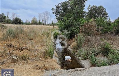 KAZDAĞLARI'NIN İNCİSİ YENİCE/AKÇAKOYUN'DA ÇAYIN DİBİNDE 4,5DÖNÜ