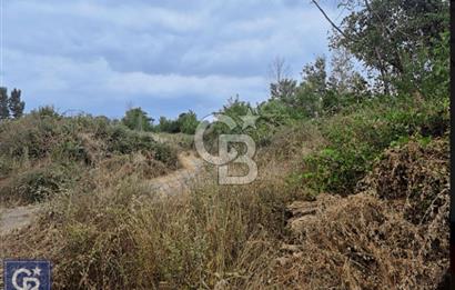 KAZDAĞLARI'NIN İNCİSİ YENİCE/AKÇAKOYUN'DA ÇAYIN DİBİNDE 4,5DÖNÜ
