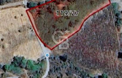 KAZDAĞLARI'NIN İNCİSİ YENİCE/AKÇAKOYUN'DA ÇAYIN DİBİNDE 4,5DÖNÜ