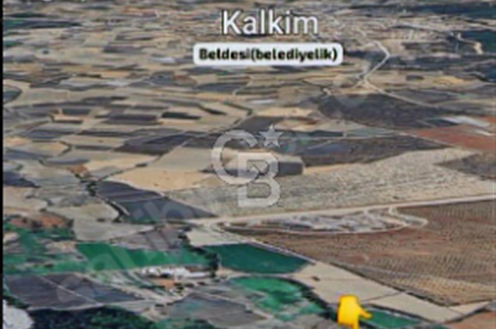 KAZDAĞLARI'NIN İNCİSİ YENİCE/AKÇAKOYUN'DA ÇAYIN DİBİNDE 4,5DÖNÜ