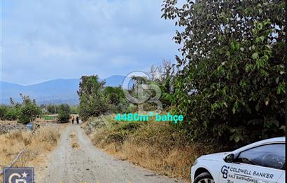 KAZDAĞLARI'NIN İNCİSİ YENİCE/AKÇAKOYUN'DA ÇAYIN DİBİNDE 4,5DÖNÜ