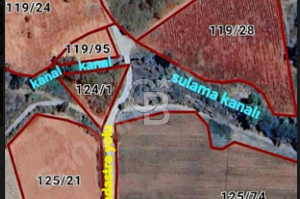 KAZDAĞLARI'NIN İNCİSİ YENİCE/AKÇAKOYUN'DA ÇAYIN DİBİNDE 4,5DÖNÜ