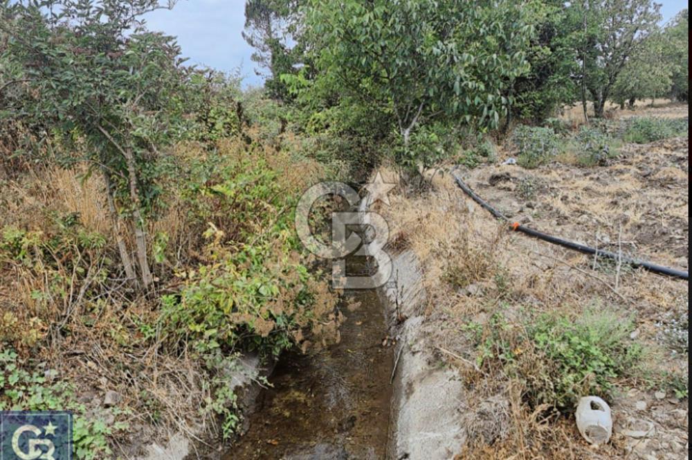 KAZDAĞLARI'NIN İNCİSİ YENİCE/AKÇAKOYUN'DA ÇAYIN DİBİNDE 4,5DÖNÜ