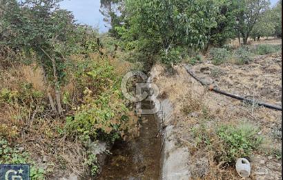 KAZDAĞLARI'NIN İNCİSİ YENİCE/AKÇAKOYUN'DA ÇAYIN DİBİNDE 4,5DÖNÜ
