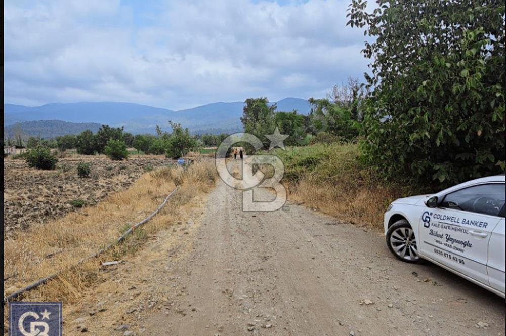 KAZDAĞLARI'NIN İNCİSİ YENİCE/AKÇAKOYUN'DA ÇAYIN DİBİNDE 4,5DÖNÜ