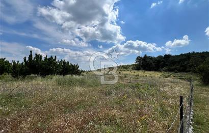 Bayındır Çınardibi Köyünde 15173 M2 500 Adet Kiraz Ağaçlı Tarla