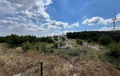 Bayındır Çınardibi Köyünde 15173 M2 500 Adet Kiraz Ağaçlı Tarla