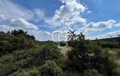 Bayındır Çınardibi Köyünde 15173 M2 500 Adet Kiraz Ağaçlı Tarla