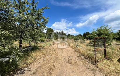 Bayındır Çınardibi Köyünde 15173 M2 500 Adet Kiraz Ağaçlı Tarla