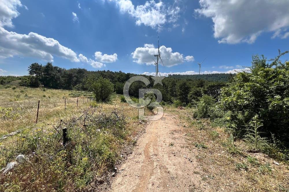 Bayındır Çınardibi Köyünde 15173 M2 500 Adet Kiraz Ağaçlı Tarla