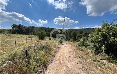 Bayındır Çınardibi Köyünde 15173 M2 500 Adet Kiraz Ağaçlı Tarla