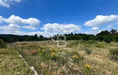 Bayındır Çınardibi Köyünde 15173 M2 500 Adet Kiraz Ağaçlı Tarla