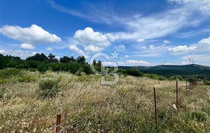 Bayındır Çınardibi Köyünde 15173 M2 500 Adet Kiraz Ağaçlı Tarla