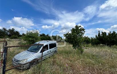 Bayındır Çınardibi Köyünde 15173 M2 500 Adet Kiraz Ağaçlı Tarla