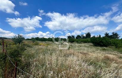 Bayındır Çınardibi Köyünde 15173 M2 500 Adet Kiraz Ağaçlı Tarla