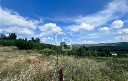 Bayındır Çınardibi Köyünde 15173 M2 500 Adet Kiraz Ağaçlı Tarla