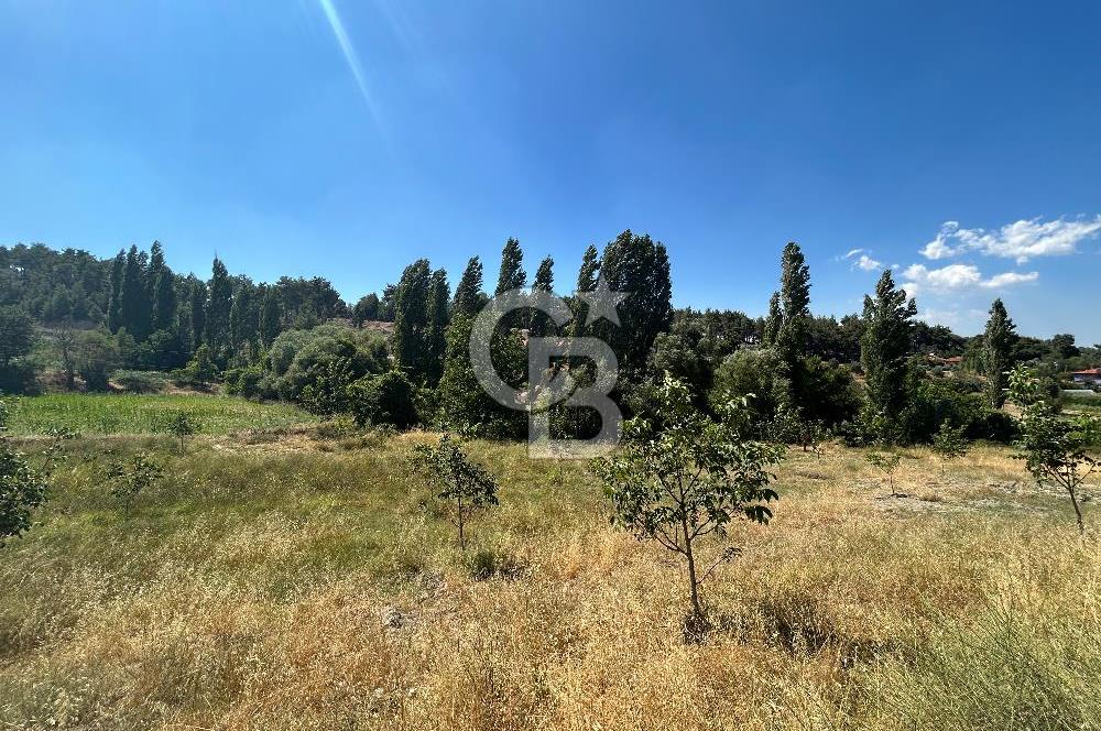 Muğla Günlüce 2332 m2 Satılık Tarla 