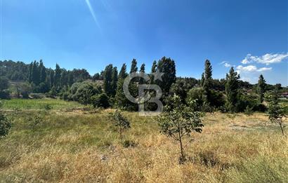 Muğla Günlüce 2332 m2 Satılık Tarla 