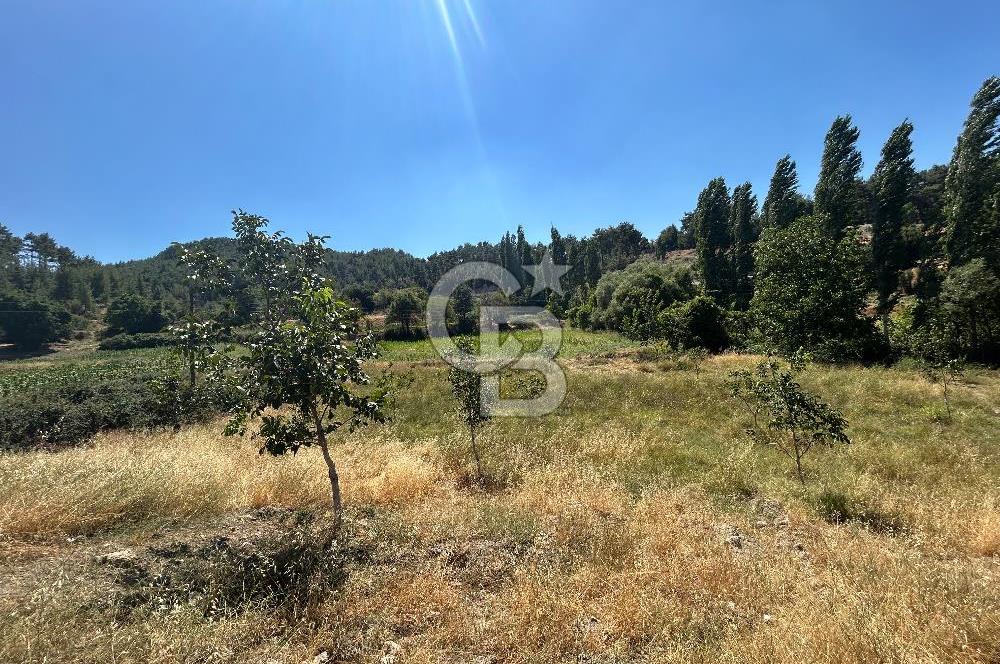 Muğla Günlüce 2332 m2 Satılık Tarla 