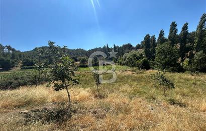 Muğla Günlüce 2332 m2 Satılık Tarla 