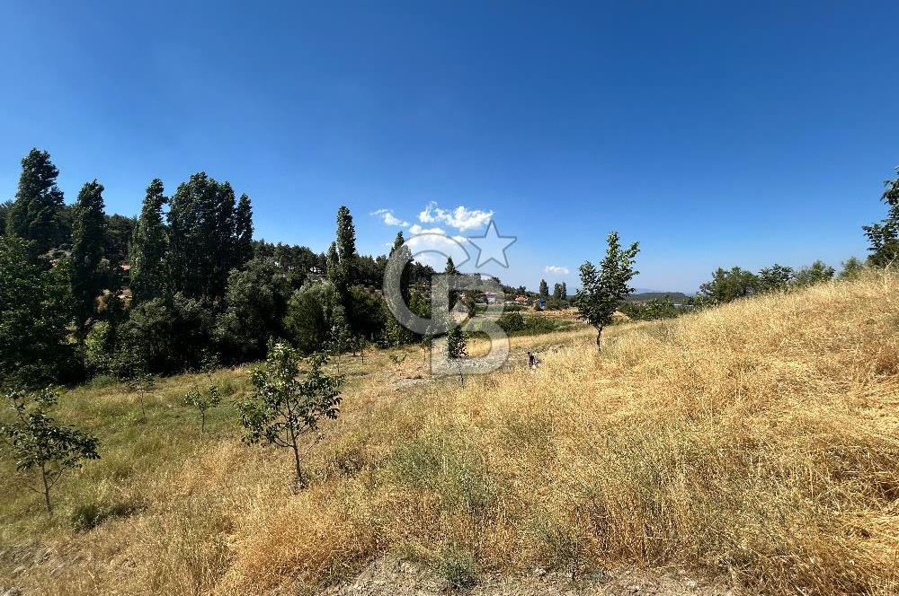 Muğla Günlüce 2332 m2 Satılık Tarla 