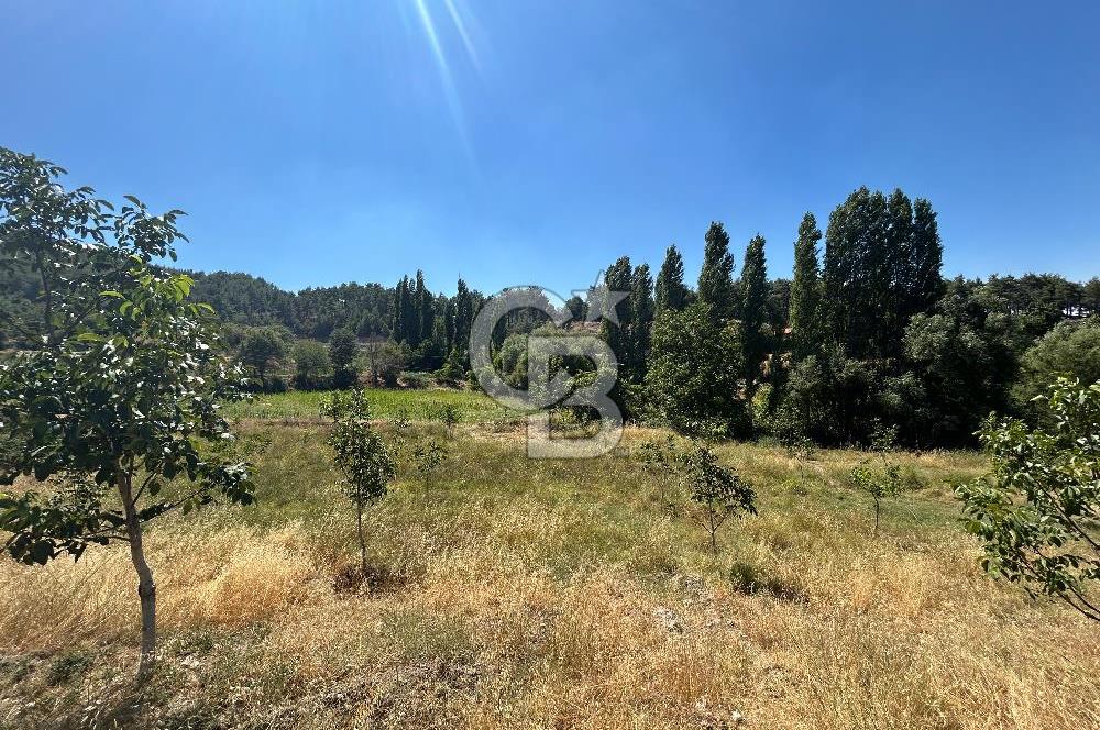 Muğla Günlüce 2332 m2 Satılık Tarla 