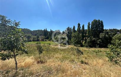 Muğla Günlüce 2332 m2 Satılık Tarla 