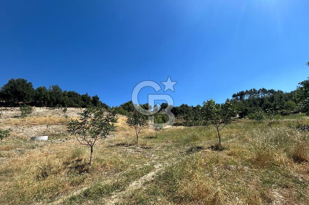 Muğla Günlüce 2332 m2 Satılık Tarla 